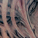 tattoo galleries/ - Freehand Face